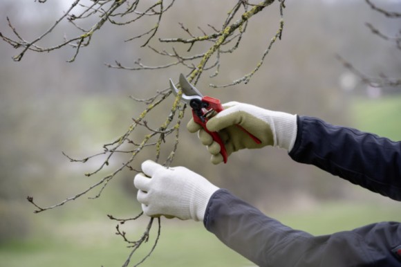 Eco handschoenen