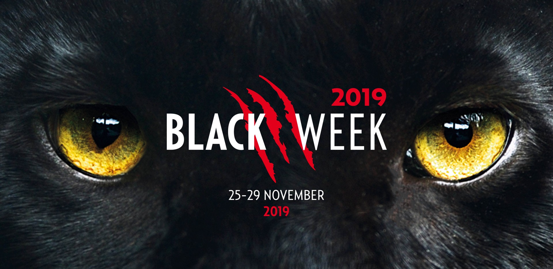 Black Week - Würth